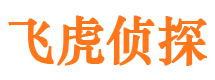 西秀市私家侦探